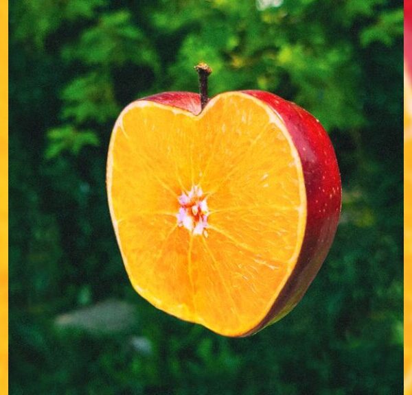 Apples+Oranges [LP] - トック・アンド・トーン（TOCK+TONE）
