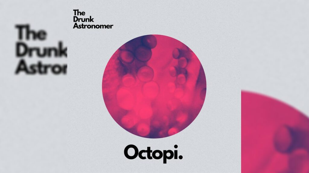Octopi (EP)- ドランク・アストロノマー(The Drunk Astronomer)