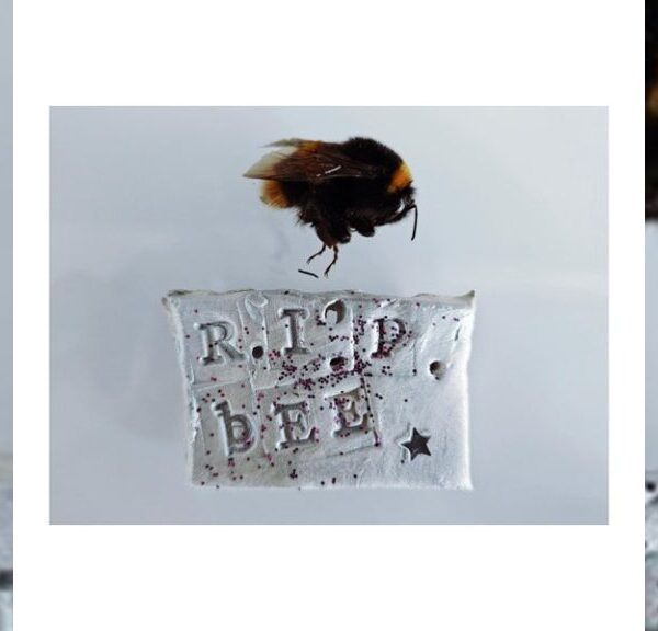 R.I.P. BEEP EP (EP) - ドランク・アストロノマー（The Drunk Astronomer）